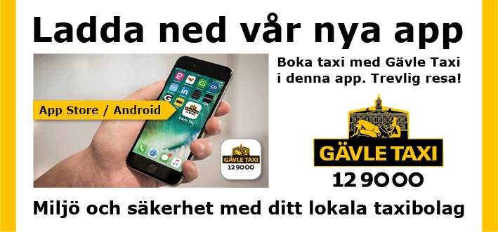 FB-bannerkampanj